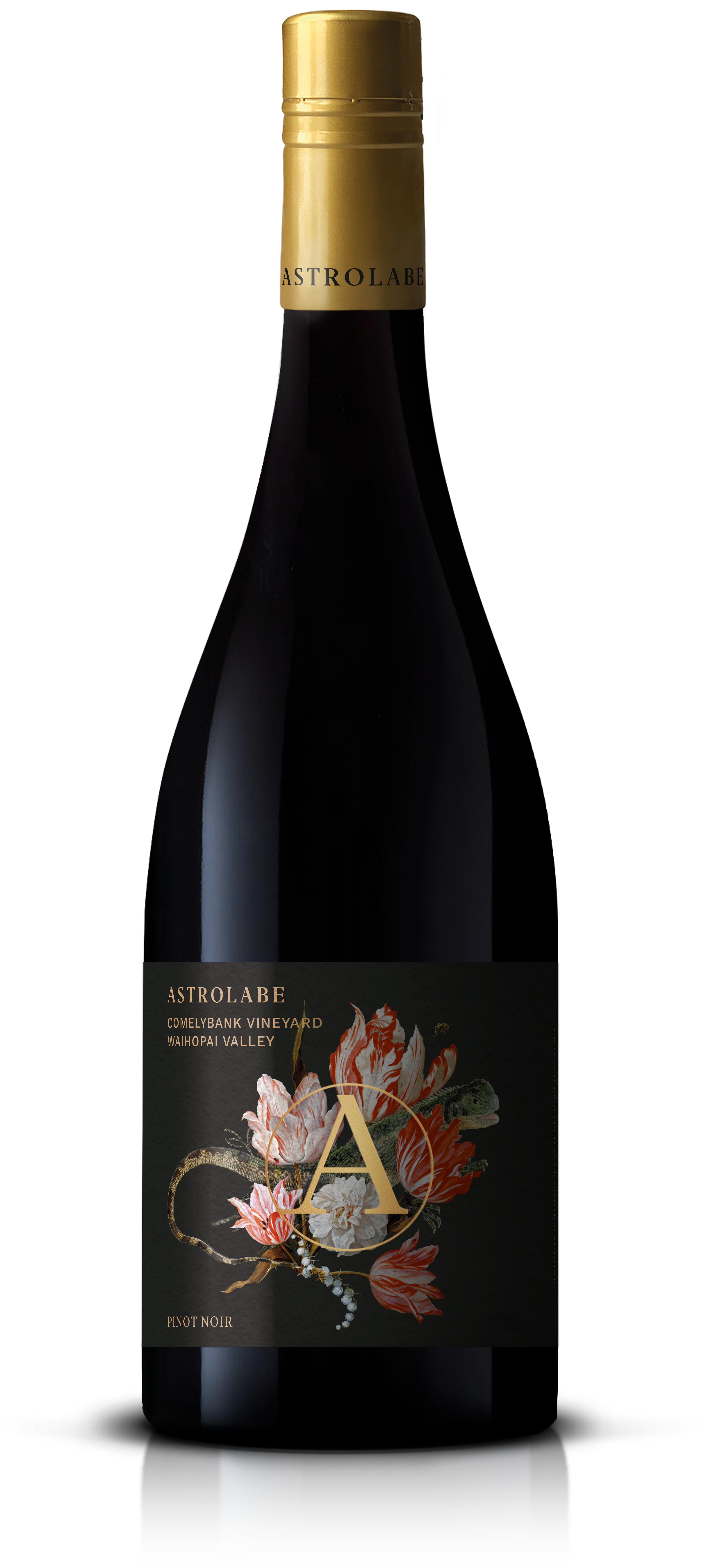 Shop Astrolabe Comelybank Pinot Noir 750ml at Liquorland