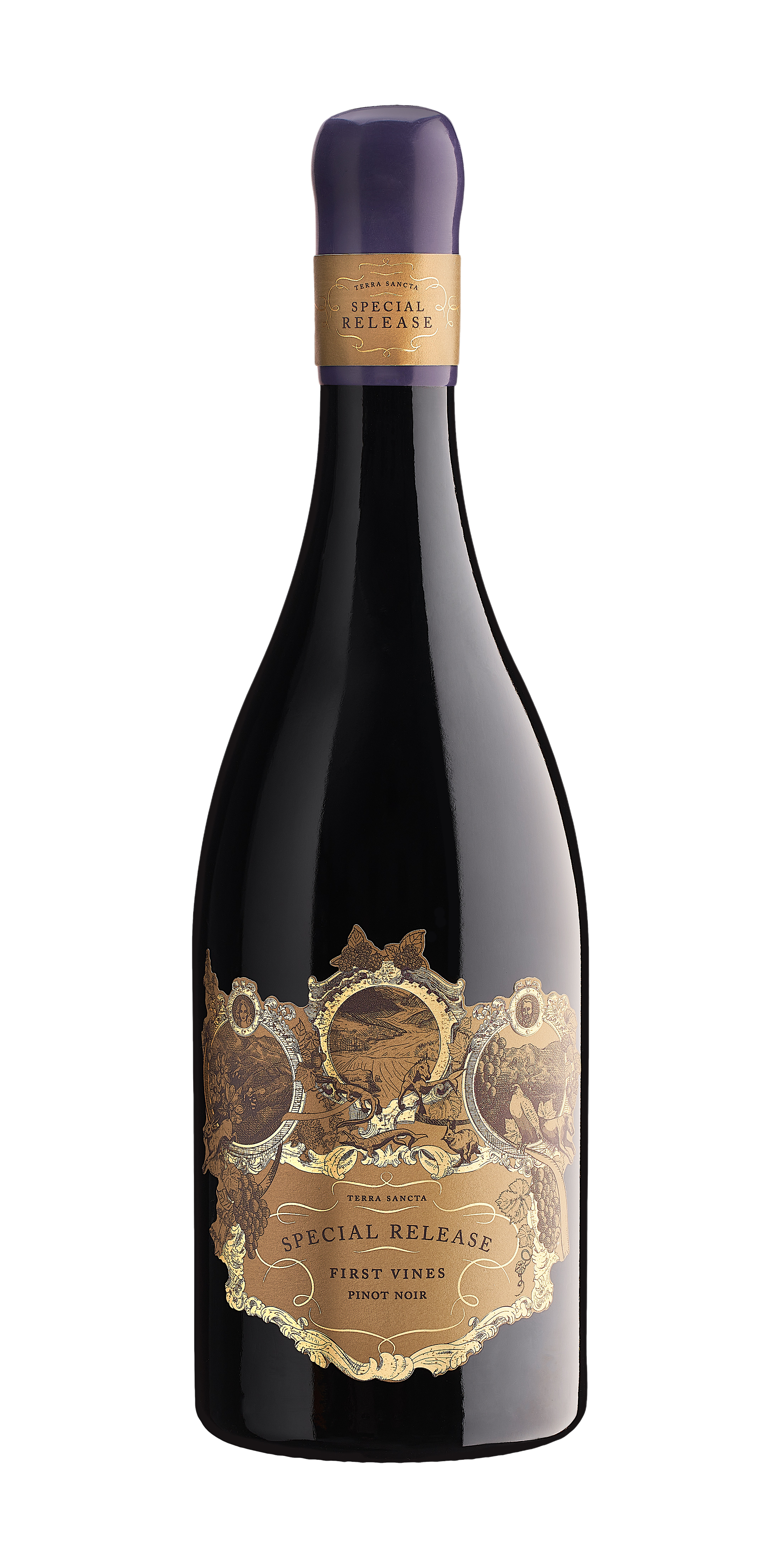 Shop Terra Sancta Special Release First Vines Pinot Noir 750ml at